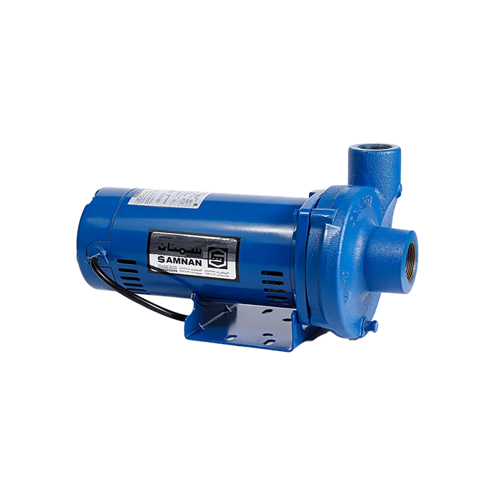 دينمو سمنان أمريكي 2 حصان